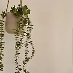 Cozy & Stil Iii Bis 8 Personen Vs Apartmán