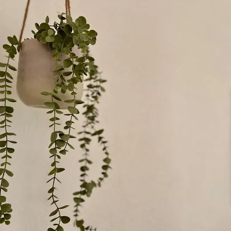 Cozy & Stil Iii Bis 8 Personen Vs Apartment