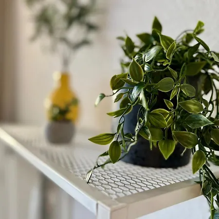 Cozy & Stil Iii Bis 8 Personen Vs *